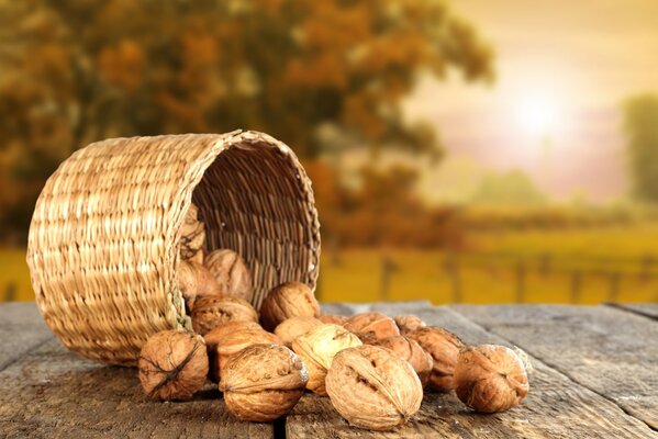 A basket with walnuts on the background of an autumn sunset