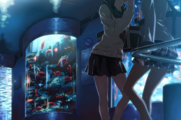 Filles dans un bar avec un bel aquarium