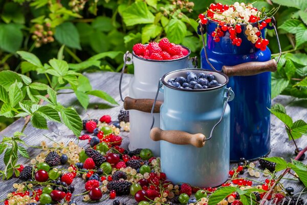 Cans with ripe raspberries and blueberries