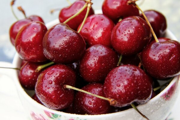 Cerises mûres dans une tasse sur la table