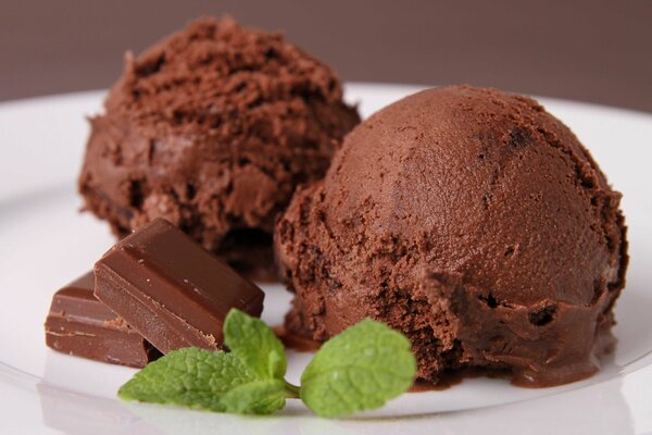 Two balls of chocolate ice cream with a sprig of mint