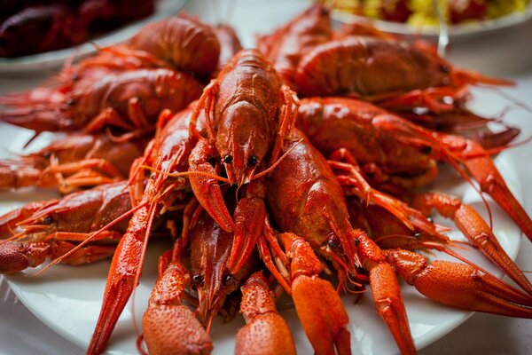 Muestra de alimentación de plato de cangrejo