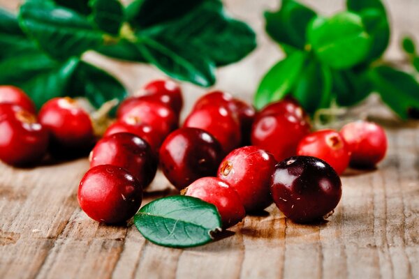 Belles baies rouges sur une surface en bois