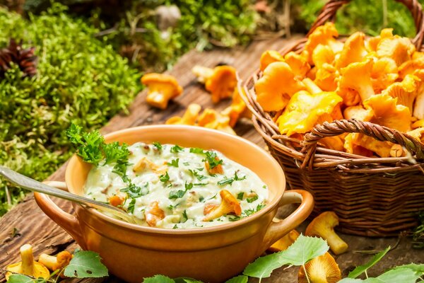 Beautiful saucepan with chanterelles