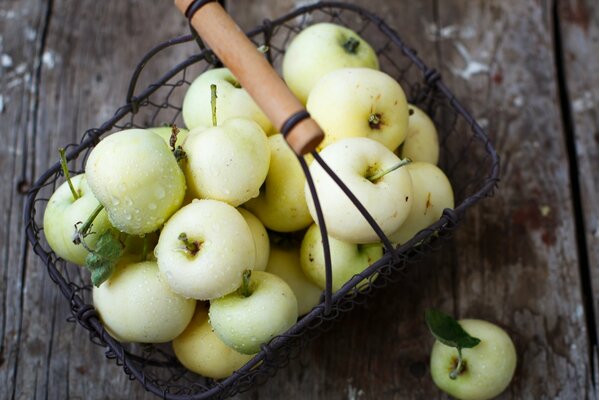 A full basket of yellow apples