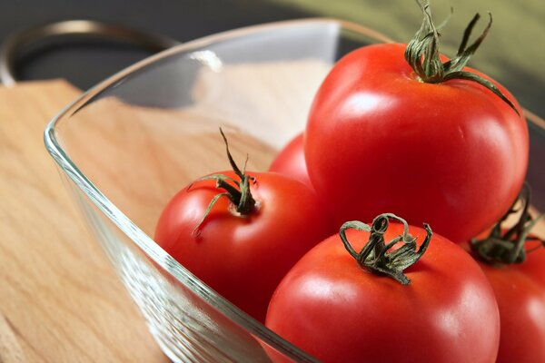 Dish with fresh ripe tomatoes