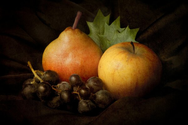 Stillleben aus Apfel- und Traubenbirne