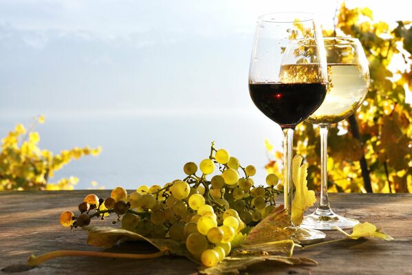 Натюрморт с двумя бокалами вина и виноградом