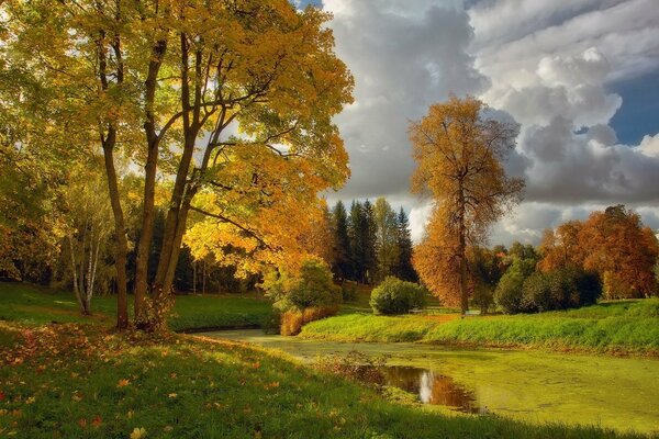 Herbstlandschaft Fluss unter Bäumen