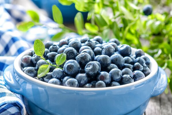 Berry blueberry leaves cup