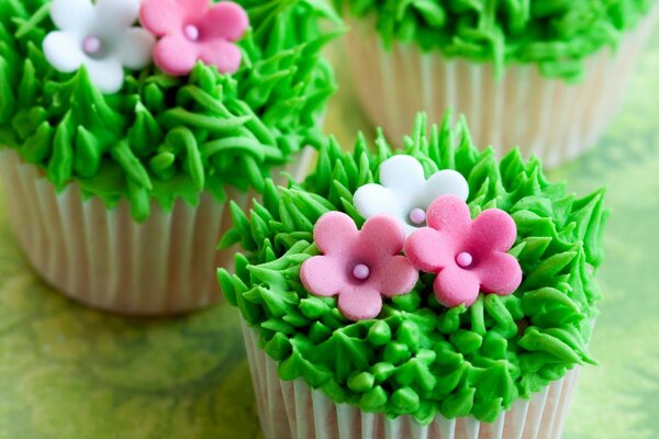 Crème-Cupcakes zum Nachtisch in Form von Blumen und Kräutern