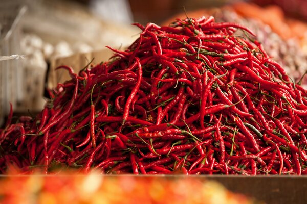 Ein Haufen roter Chilischoten aus Malaysia