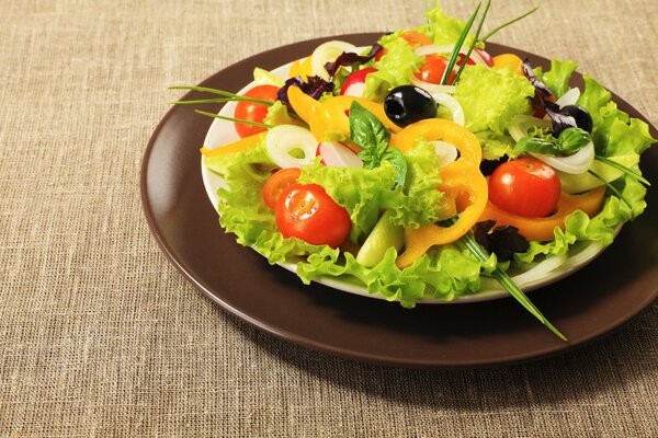 Schöner heller Salat auf braunem Teller