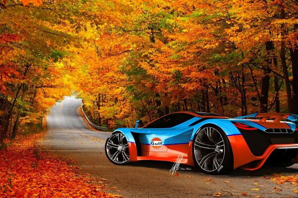 Supercar rides on the road in autumn