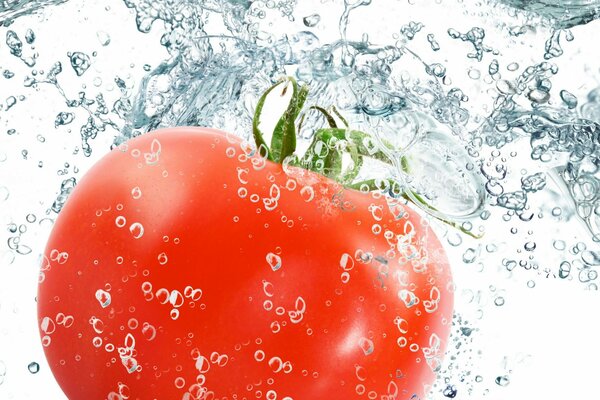 Pomodoro rosso con spruzzi d acqua