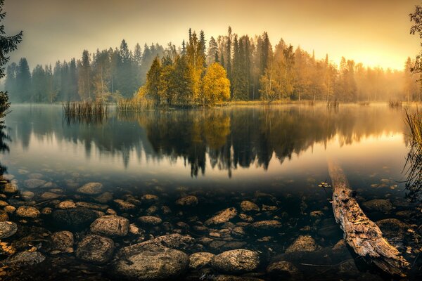 Coucher de soleil sur fond de lac et de forêt