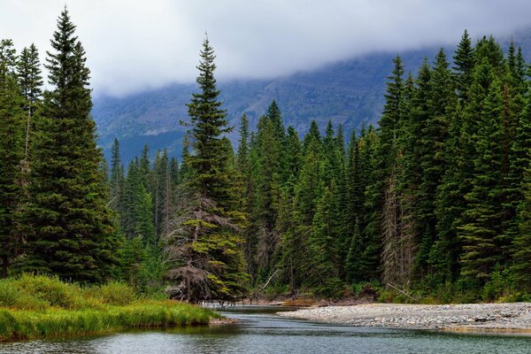 What you need for happiness-forest, mountains, river and tent