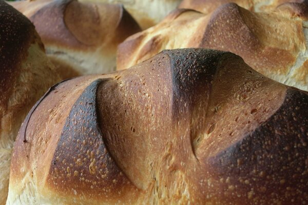 Freshly baked bread in macro photography