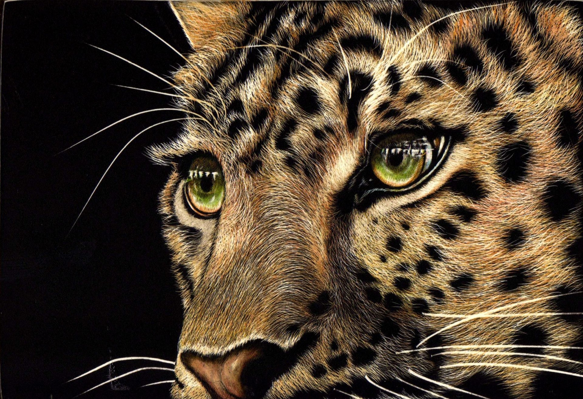 animale predatore leopardo muso sguardo occhi verdi sfondo nero