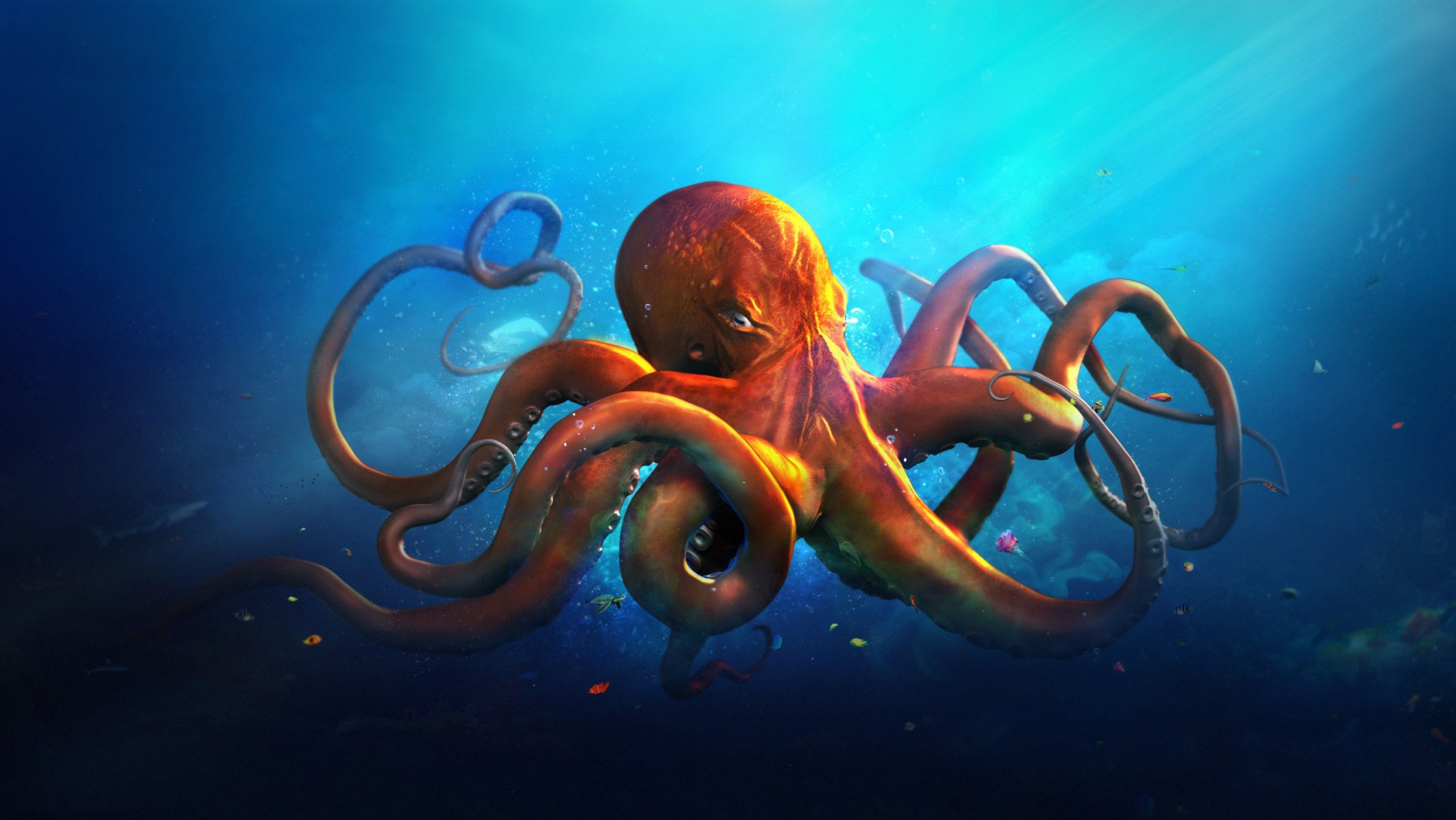 octopus art picture desktopography hq wallpaper