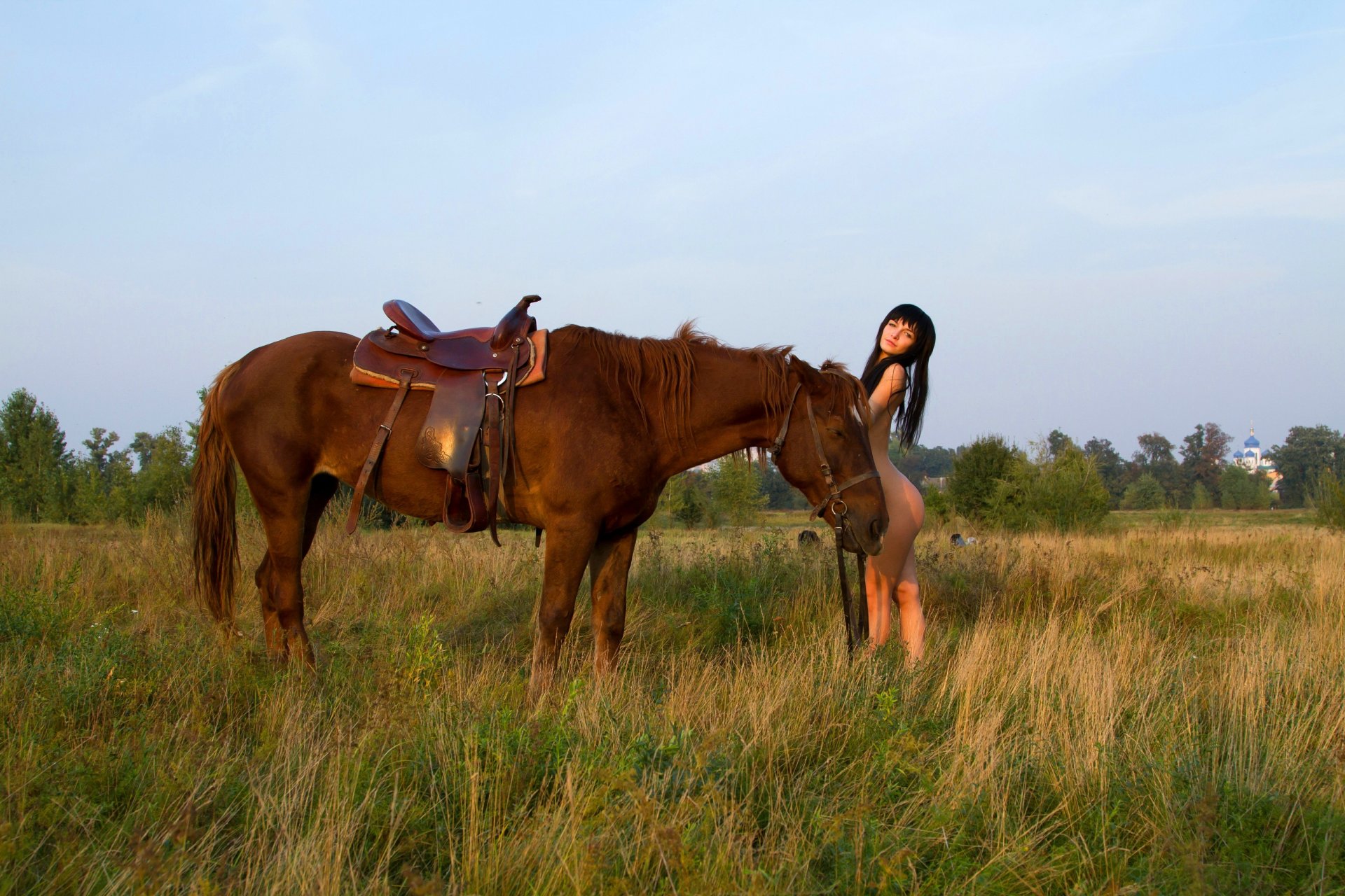 caballo pelirroja silla de montar arnés campo hierba