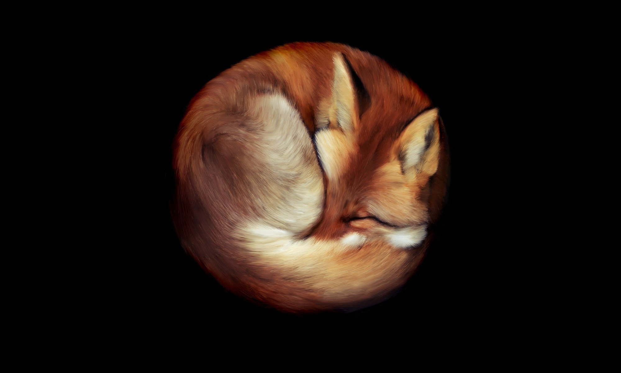 fox red is picture background