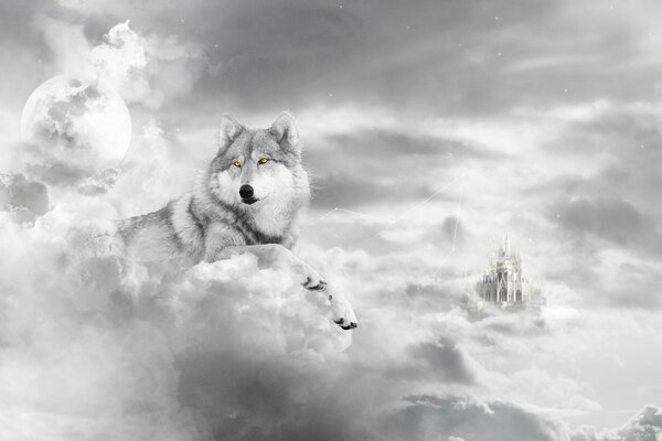 A wolf on a white background in a distant castle