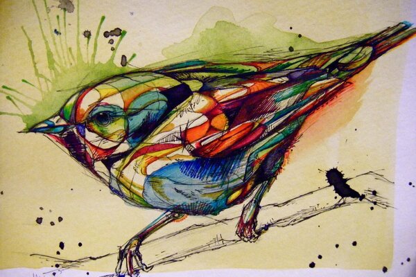 Color drawing of a bird on paper