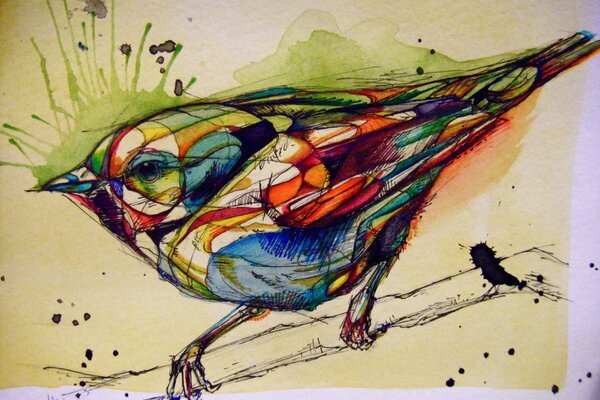 Dibujo de aves de colores en papel