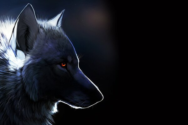 A lone wolf with amber eyes on a black background