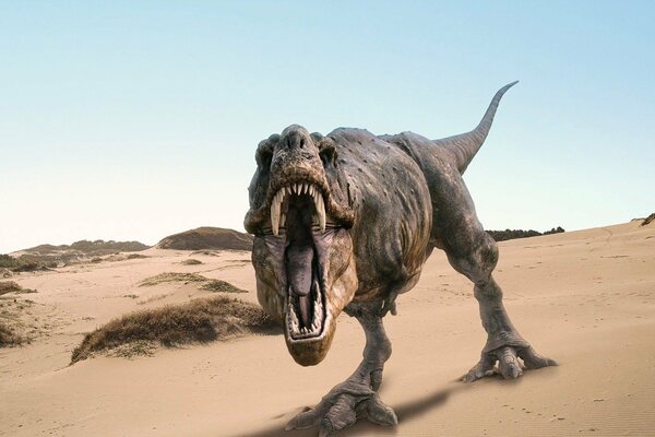 Dinosaurier Rex im Sand