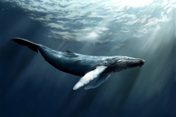 Sperm whale swims in the depths of the sea