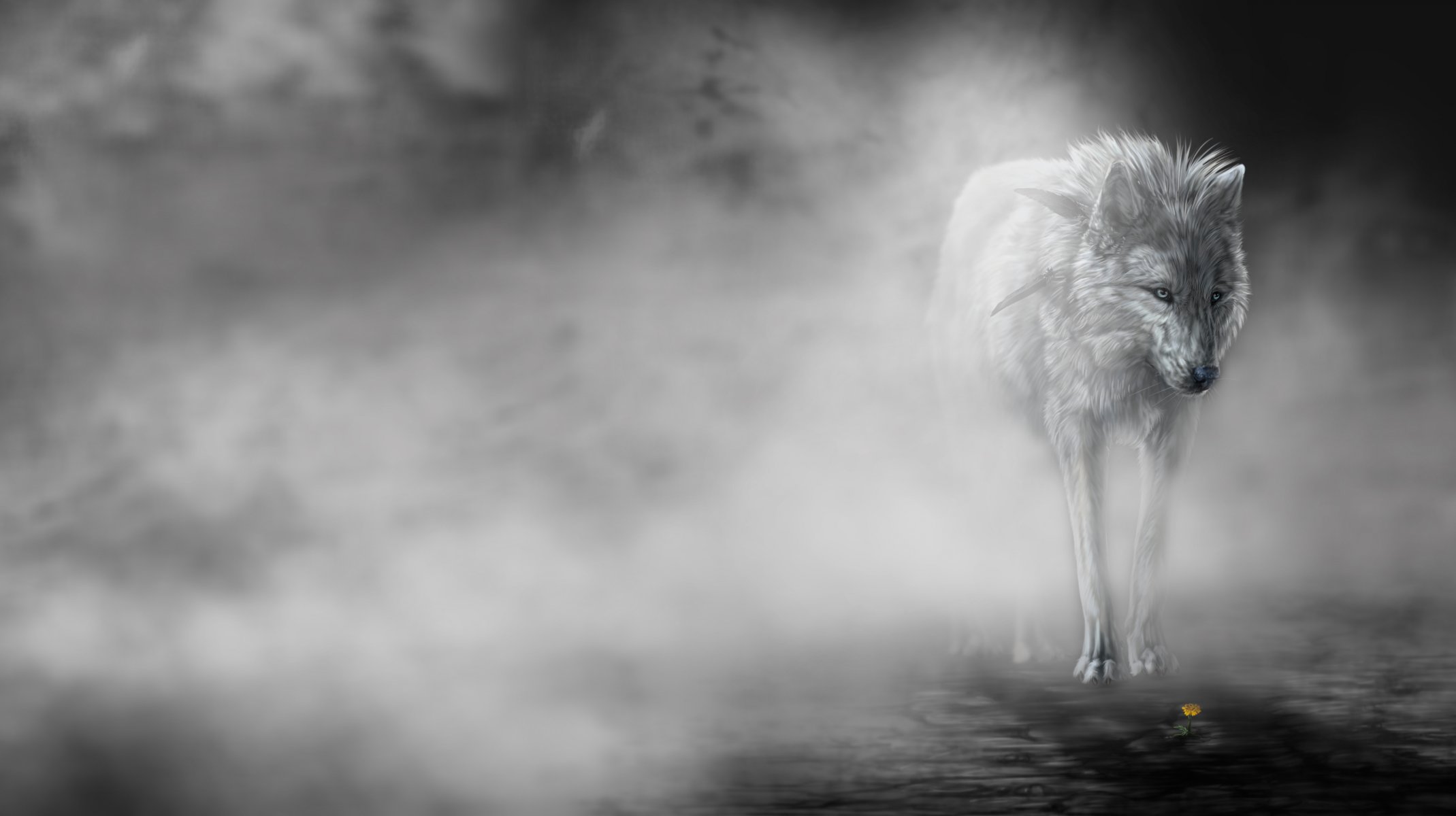 fog art wolf flower