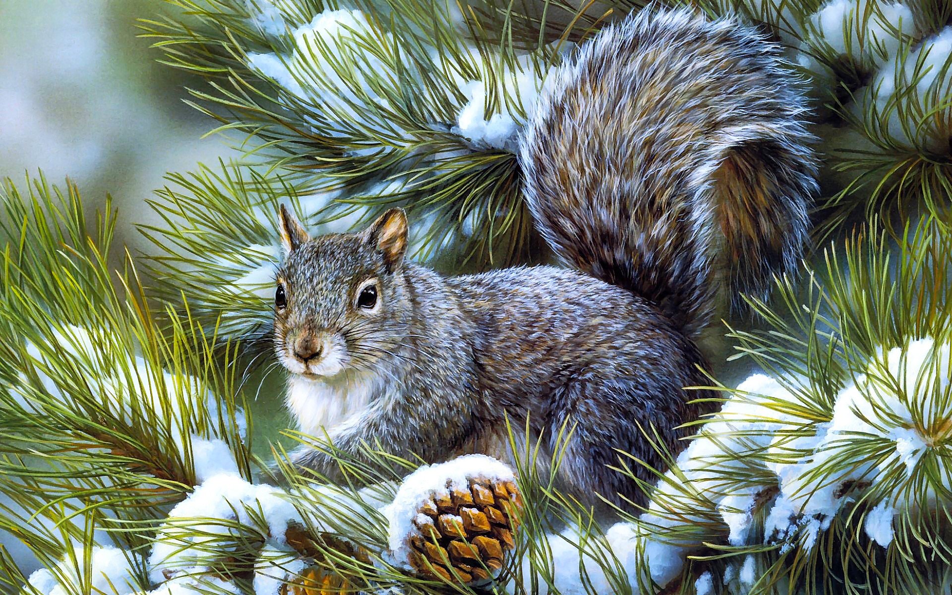 quirrel winter snow branches needle christmas tree