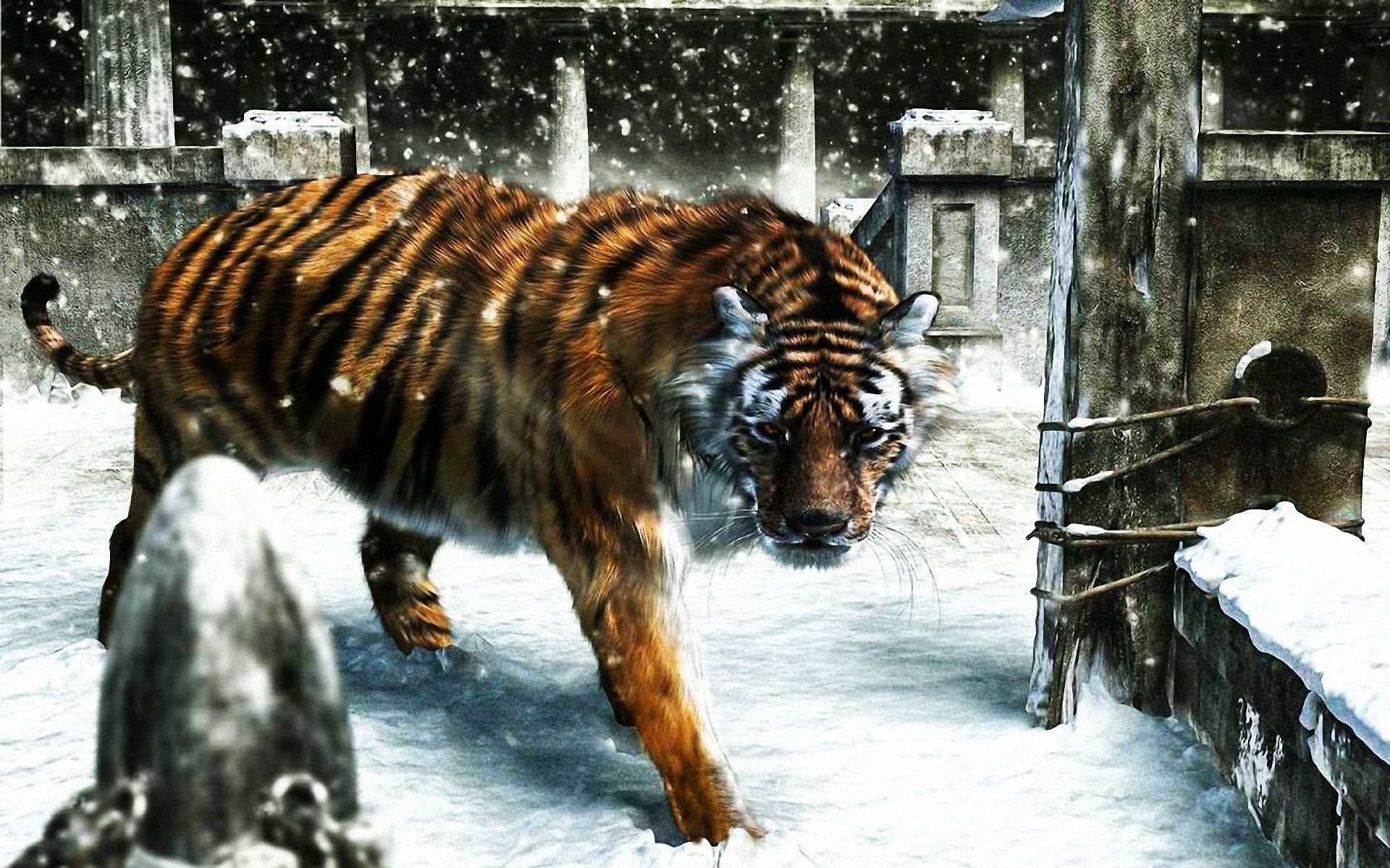 tigre caminando nieve invierno renderizado