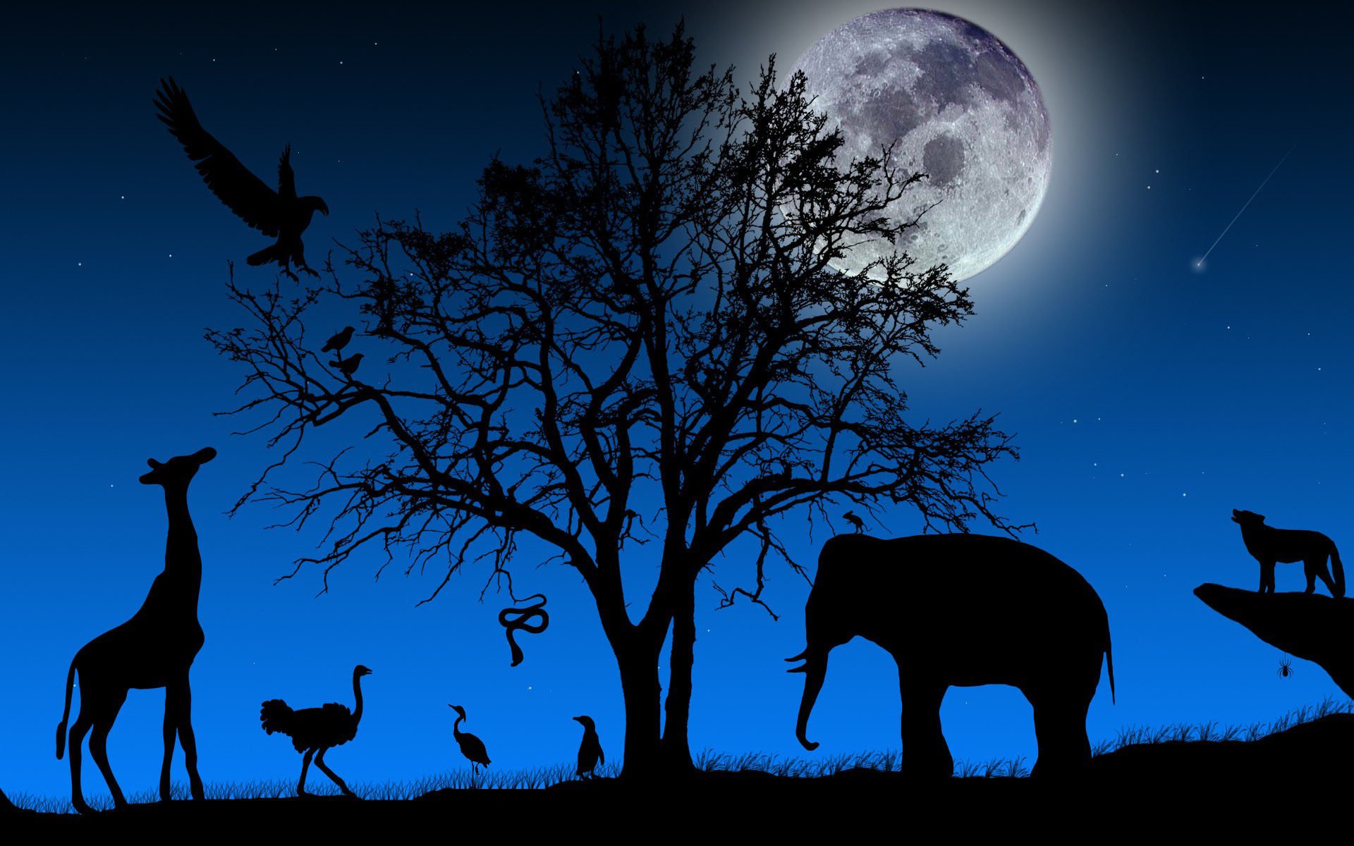 paesaggio albero rami corona bestie elefante giraffa struzzo lupo uccelli ombra sagome cielo notte luna meteorite serpente ragno varietà forme di vita