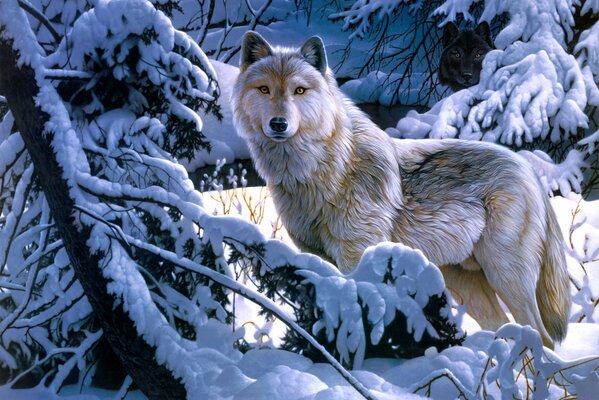 Ein einsamer Wolf im verschneiten Wald