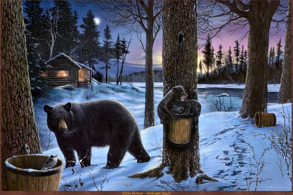 Niedźwiedź przy chacie. Zimowa noc w lesie