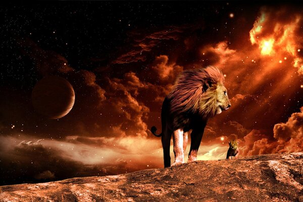 Image space fire and lion