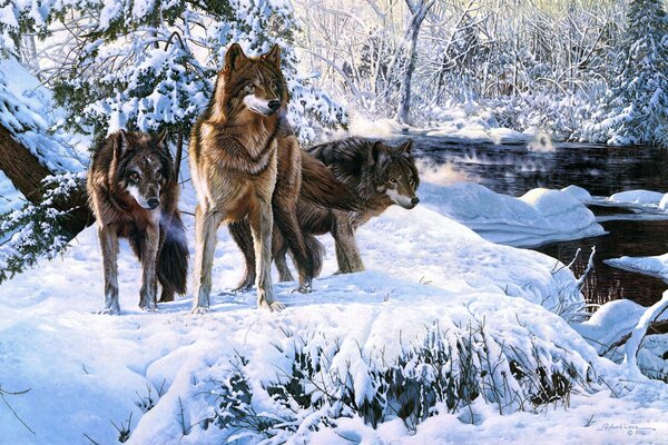 Lobos en la nieve junto al río