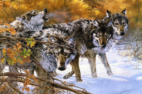 A pack of wolves in the snow