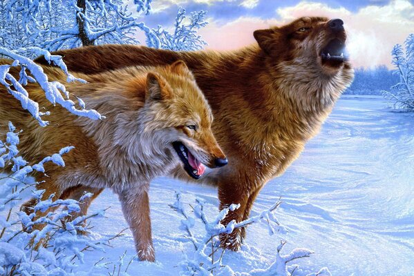 Lobos aullando en el bosque de invierno