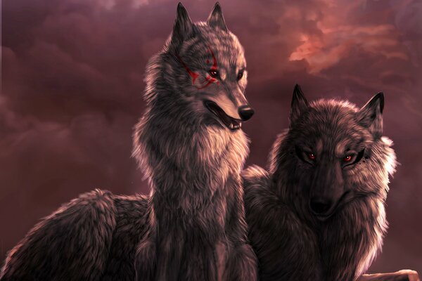 Un par de lobos al atardecer