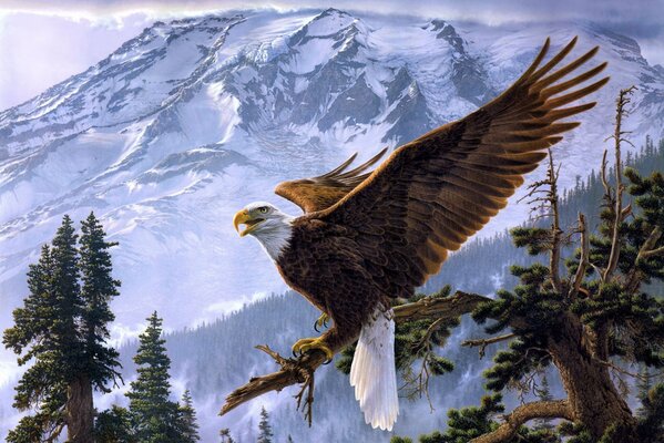 Der Adler vor dem Hintergrund der Berge ist besonders schön