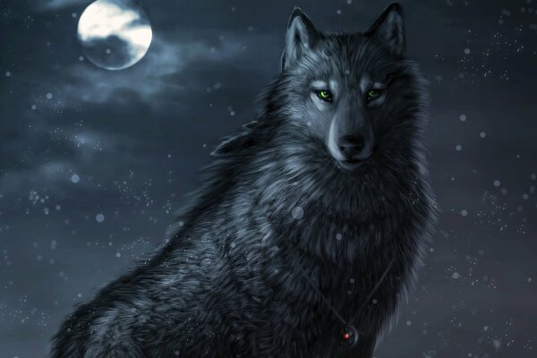 On a winter night, a wolf with green eyes