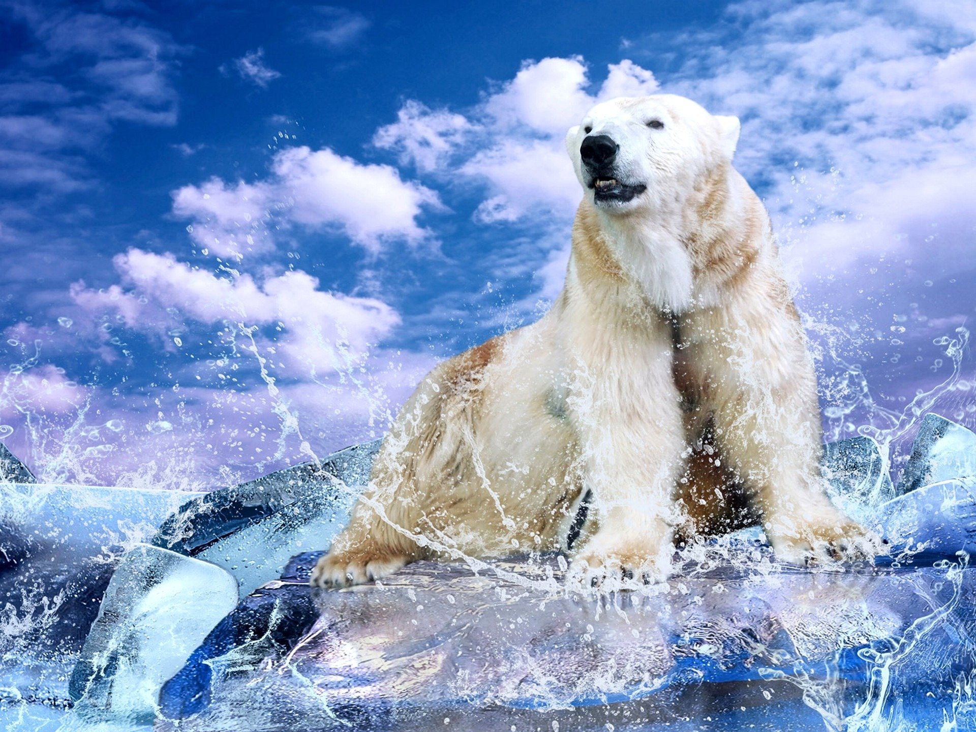 weiß bär brocken wasser tropfen spritzer himmel wolken