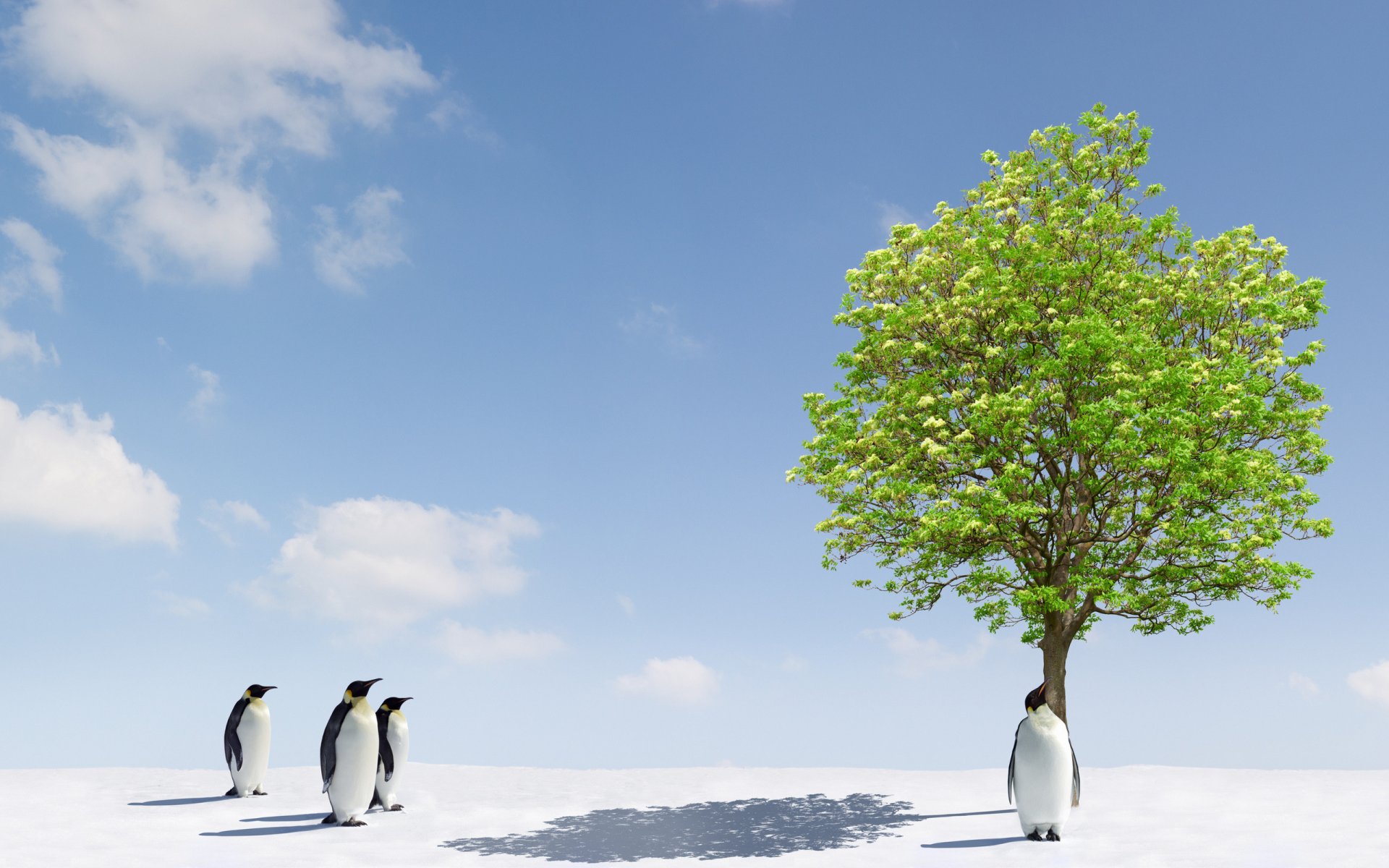 tiere pinguine baum bäume schnee