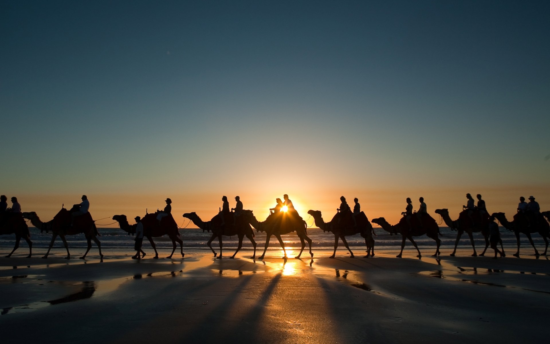 coast coast sunset camels caravan wallpaper