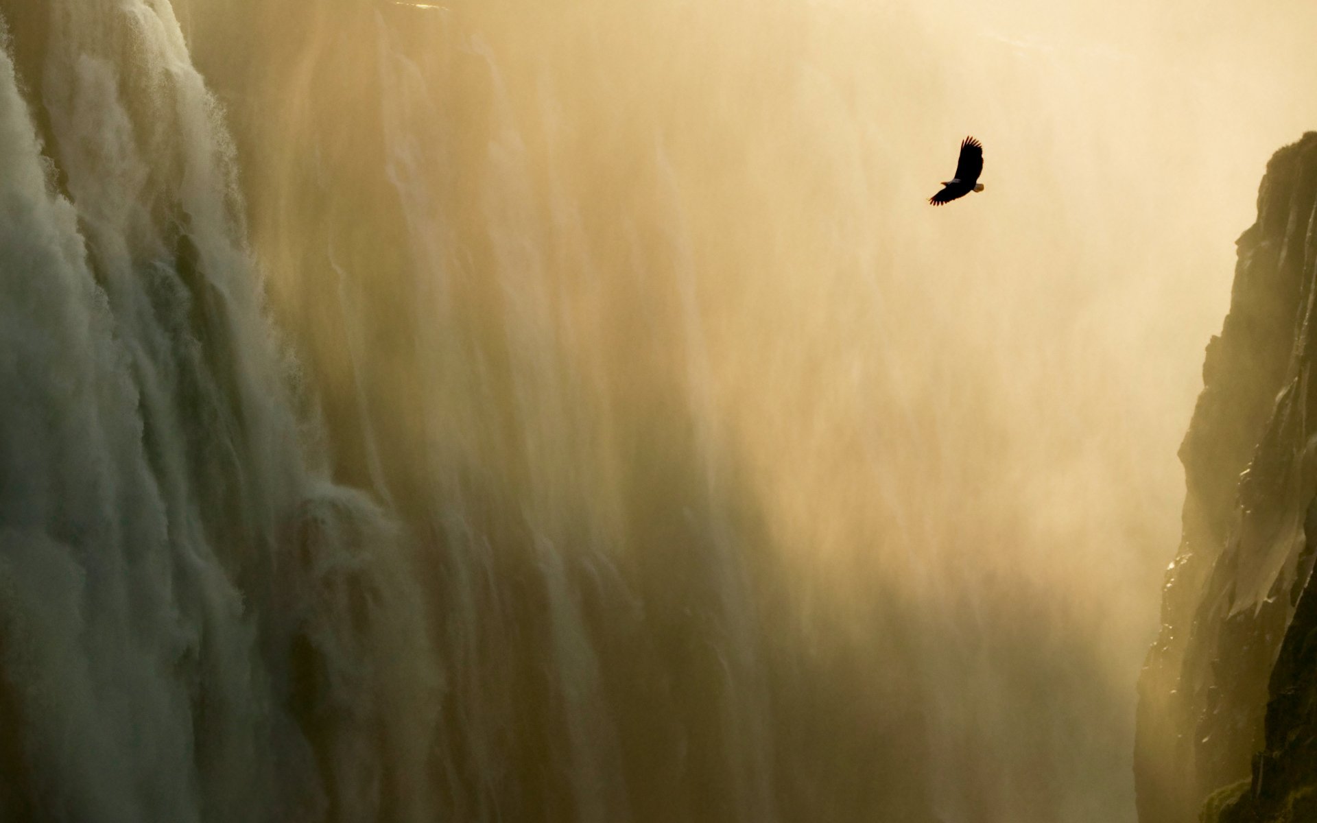 águila cascada montañas