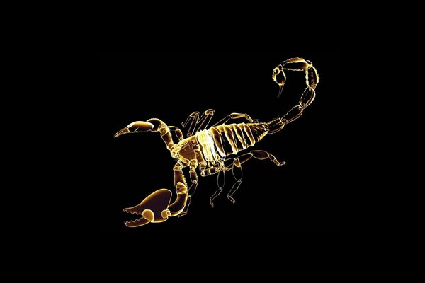 Glowing scorpio on a black background